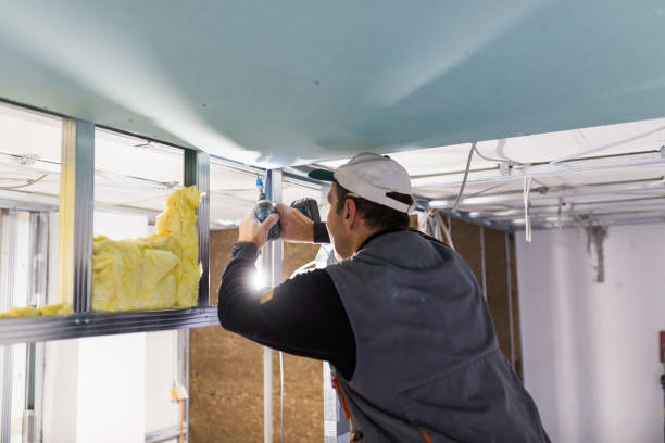 Best Fiberglass Insulation in Lyons, NJ