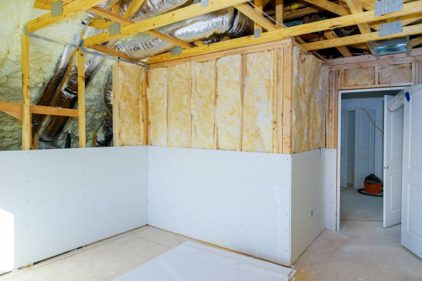 Best Eco-Friendly Insulation in Lyons, NJ